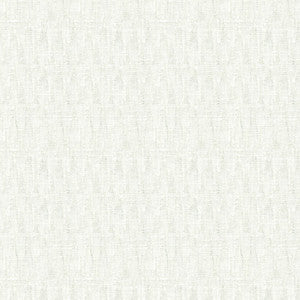 Kravet Fabric 4163-1