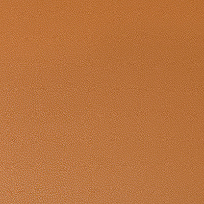 Kravet Fabric Syrus Cognac