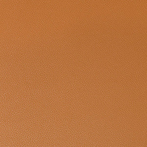 Kravet Fabric Syrus Cognac