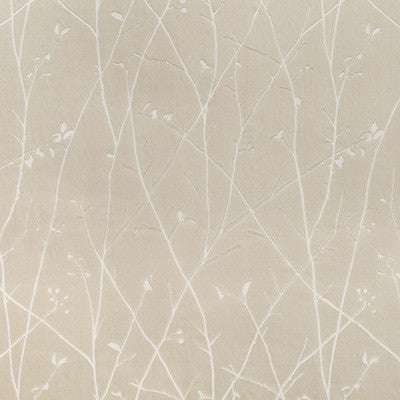 Kravet Fabric Ramus Quartz