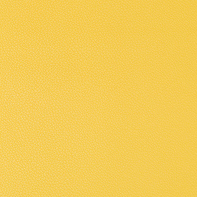 Kravet Fabric Syrus Sunshine