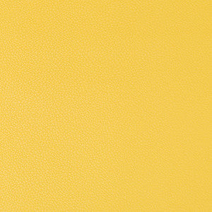 Kravet Fabric Syrus Sunshine