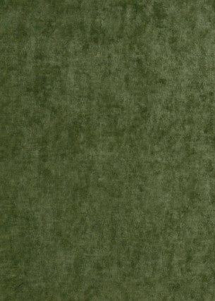 G P & J Baker Fabric Vintage Velvet Fern