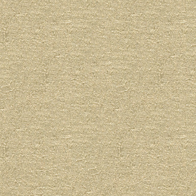 Kravet Fabric 4142-1116