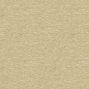 Kravet Fabric 4142-1116