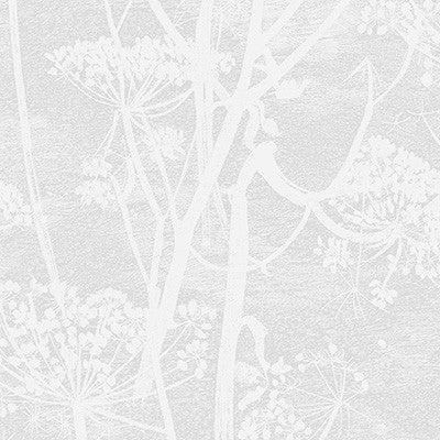 Cole & Son Wallpaper Cow Parsley White