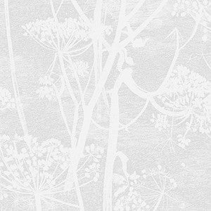Cole & Son Wallpaper Cow Parsley White