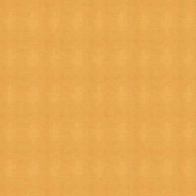 Kravet Fabric Moccasin-1616
