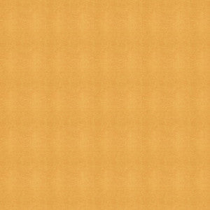 Kravet Fabric Moccasin-1616