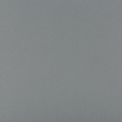Kravet Fabric Syrus Pewter