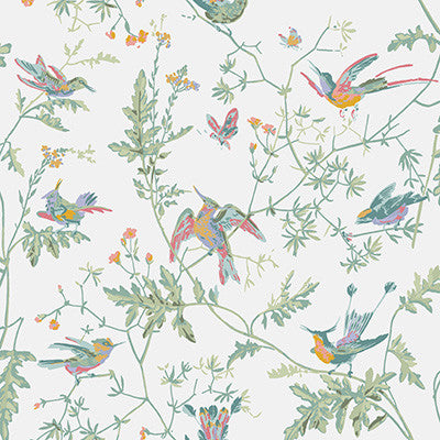 Cole & Son Wallpaper Hummingbirds Pastel