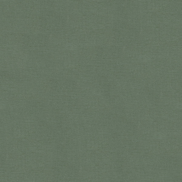 Kravet Fabric Versailles-E251650