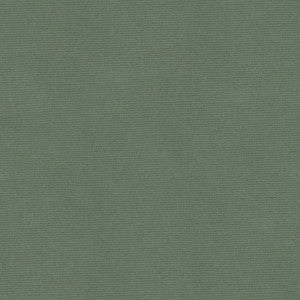 Kravet Fabric Versailles-E251650