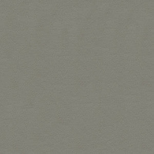 Kravet Fabric 34205-1121
