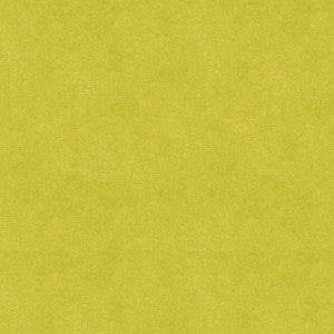 Kravet Fabric 33125-3