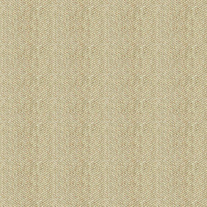 Kravet Fabric 33832-106