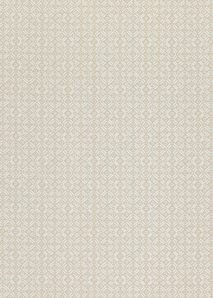 Threads Fabric Aslin Ivory
