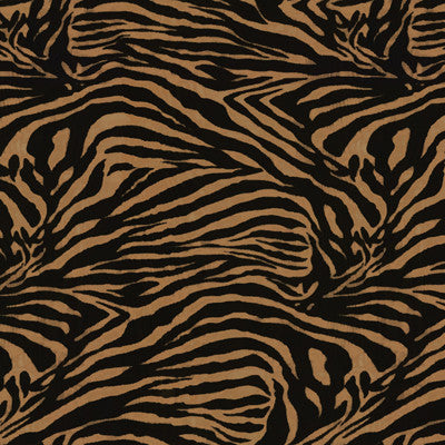 Kravet Fabric Zebra-84