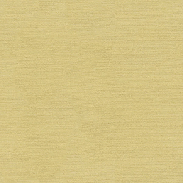 Kravet Fabric Versailles-E243020