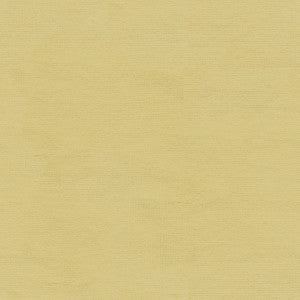Kravet Fabric Versailles-E243020