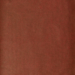 Kravet Fabric Sparta-124