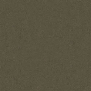 Kravet Fabric Ultrasuede Green Deer