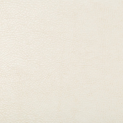 Kravet Fabric Beholder-1