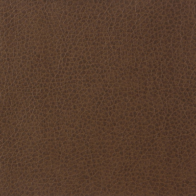 Kravet Fabric Matter-6