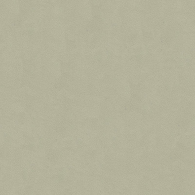 Kravet Fabric Ultrasuede Green Ash