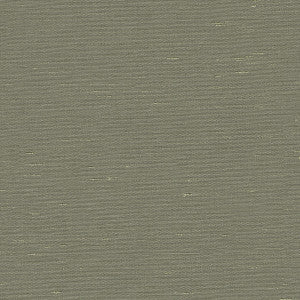 Kravet Fabric 3777-11
