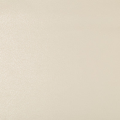 Kravet Fabric Deimos-116