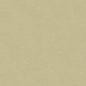 Kravet Fabric 4070-11