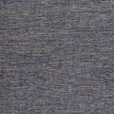 Gaston Y Daniela Fabric Sauce Azul