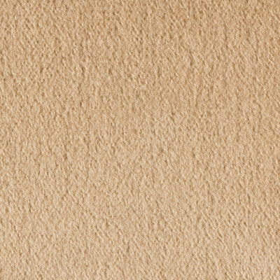 Kravet Fabric Sp-89778-801