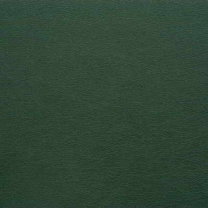 Kravet Fabric Gato-303