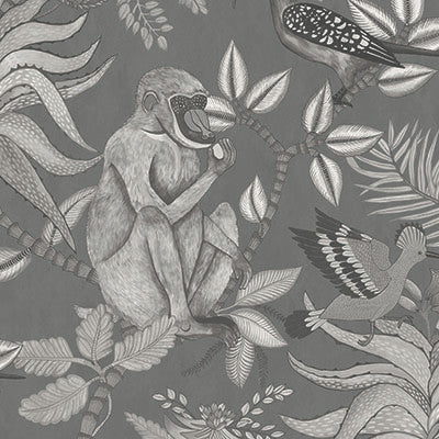 Cole & Son Wallpaper Savuti Charcoal