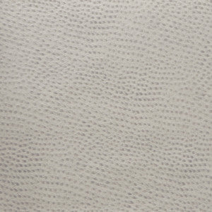 Kravet Fabric Delaney-11
