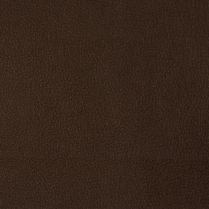 Kravet Fabric Newt-66