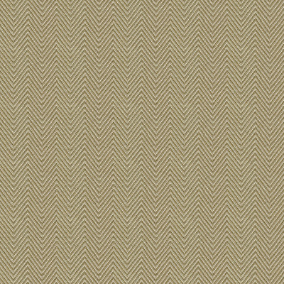 Kravet Fabric 4119-4