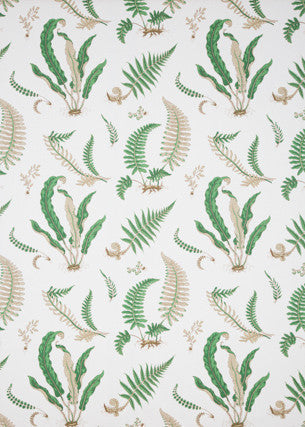 G P & J Baker Fabric Ferns Print Snow