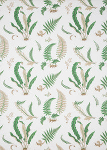 G P & J Baker Fabric Ferns Print Snow