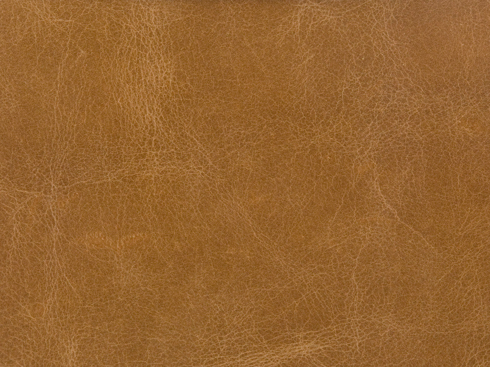 Kravet Fabric L-Haute-Camel