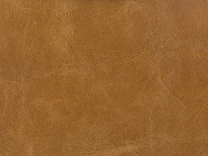 Kravet Fabric L-Haute-Camel
