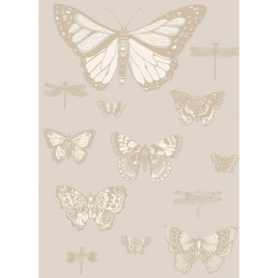 Cole & Son Wallpaper Butterflies & Dragonflies Grey