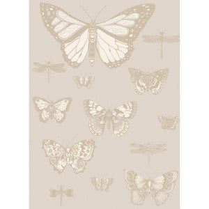 Cole & Son Wallpaper Butterflies & Dragonflies Grey