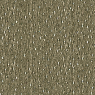 Kravet Fabric Adara-11