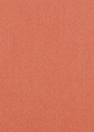 Baker Lifestyle Fabric Carnival Plain Spice
