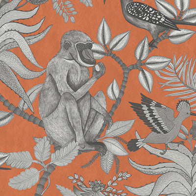 Cole & Son Wallpaper Savuti Orange