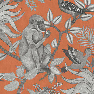 Cole & Son Wallpaper Savuti Orange