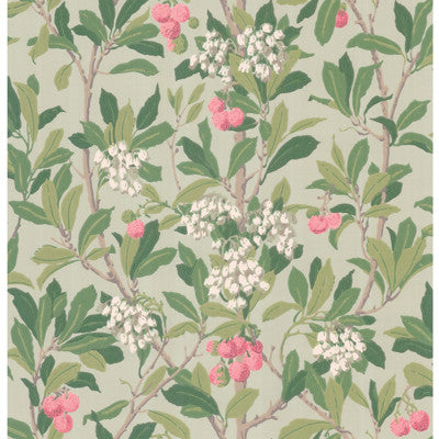 Cole & Son Wallpaper Strawberry Tree Pink & Duck Egg